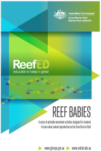 Reef Babies Education Resource