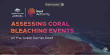 Assessing coral bleaching events on the Great Barrier Reef