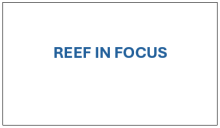 Reef In Focus with CEO Josh Thomas and GM of Strategic Policy and Partnerships Fred Nucifora! 